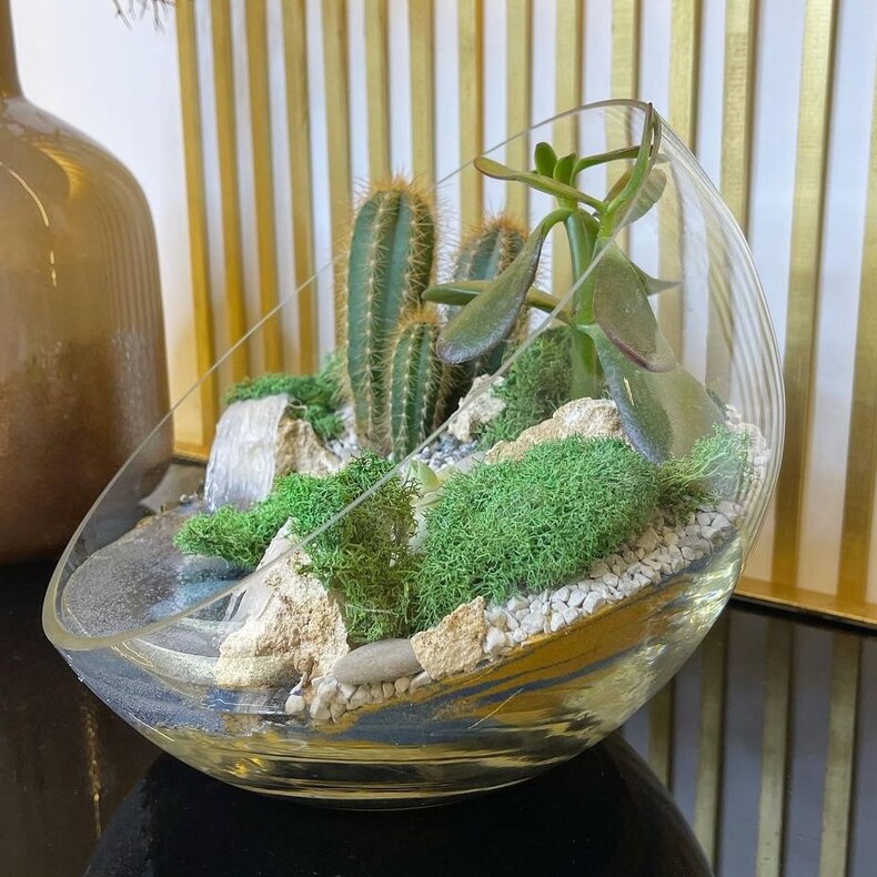 Флорариум с кактусом
