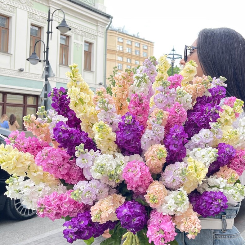 Букет цветов "Маттиола"